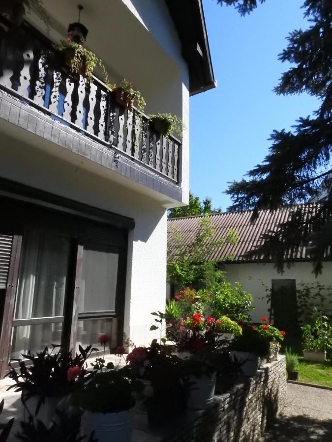 Hotel Haus Gizella à Harkány Extérieur photo